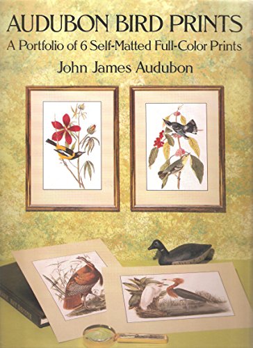 9780486257730: Audubon Bird Prints: A Portfolio of 6 Self-Matted Full-Color Prints