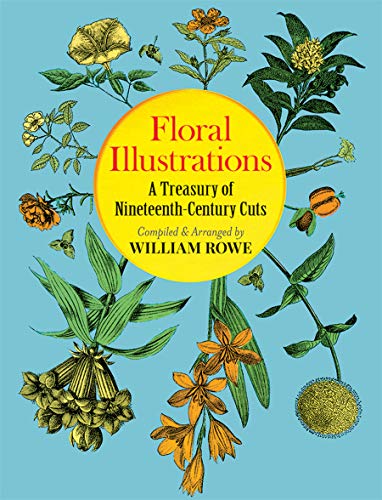 Stock image for Floral Illustrations: A Treasury of Nineteenth-Century Cuts (Dover Pictorial Archive) for sale by HPB Inc.
