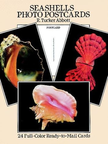 Stock image for Seashells Photo Postcards: 24 Full-Color Ready-To-Mail Cards for sale by ThriftBooks-Dallas