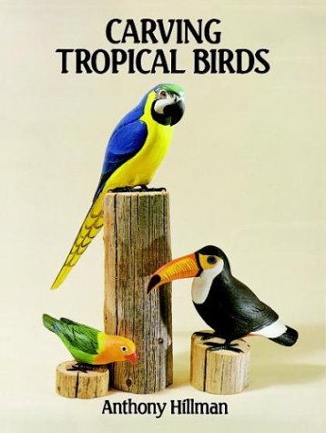 Stock image for Carving Tropical Birds for sale by ThriftBooks-Dallas