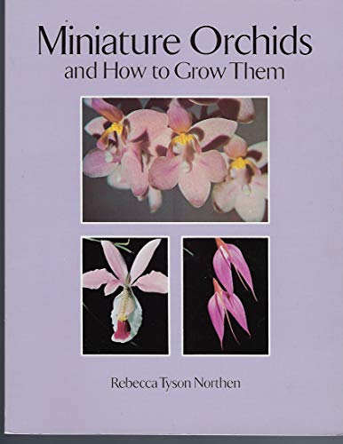 

Miniature Orchids and How to Grow Them