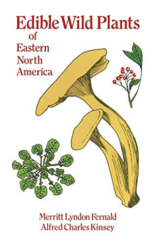9780486291048: Edible Wild Plants of Eastern North America