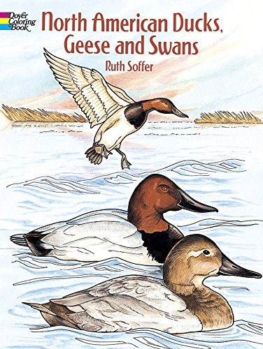 Imagen de archivo de North American Ducks, Geese and Swans Coloring Book (Dover Animal Coloring Books) a la venta por Gulf Coast Books