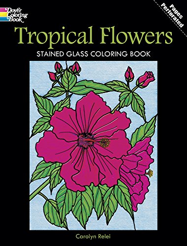 Stock image for Tropical Flowers Stained Glass Coloring Book for sale by ThriftBooks-Dallas