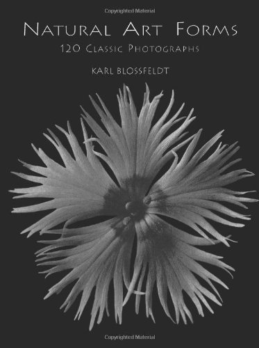 9780486400037: Natural Art Forms (Dover Pictorial Archive Series)