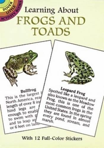 Stock image for Learning about Frogs and Toads for sale by ThriftBooks-Atlanta
