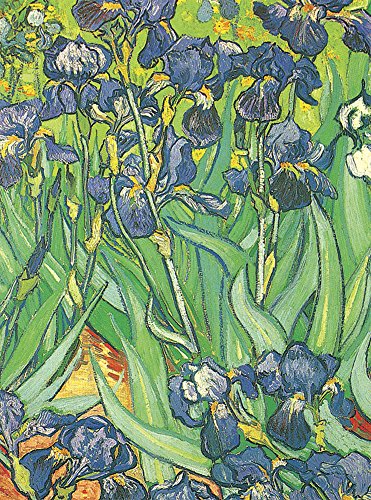 Beispielbild fr Van Gogh Notebook zum Verkauf von gwdetroit