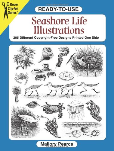 Imagen de archivo de Ready-to-Use Seashore Life Illustrations: 205 Different Copyright-Free Designs Printed One Side (Clip Art (Dover)) a la venta por BooksRun
