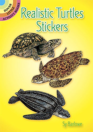 9780486407401: Realistic Turtles Stickers (Dover Little Activity Books: Sea Life)