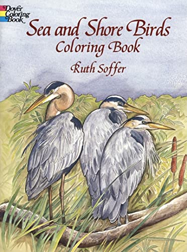 9780486408057: Sea and Shore Birds Coloring Book