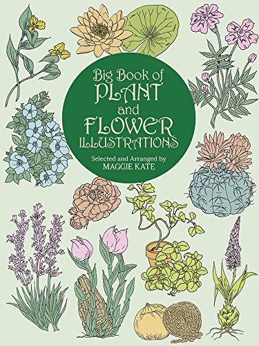Stock image for Big Book of Plant and Flower Illustrations (Dover Pictorial Archive) for sale by Half Price Books Inc.