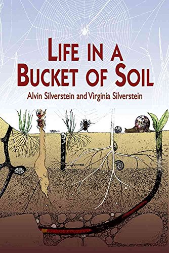 Imagen de archivo de Life in a Bucket of Soil a la venta por Blackwell's