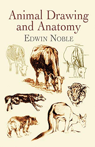 9780486423128: Animal Drawing and Anatomy