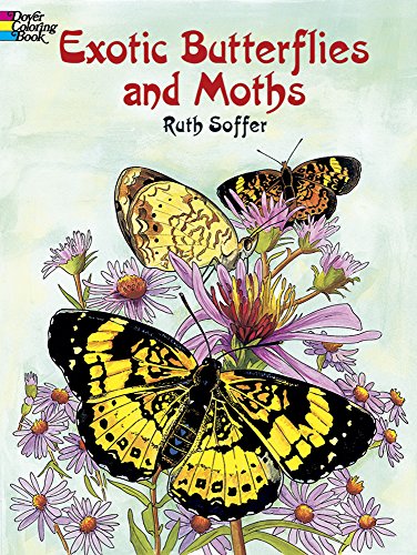 Imagen de archivo de Exotic Butterflies and Moths Coloring Book (Dover Butterfly Coloring Books) a la venta por GF Books, Inc.