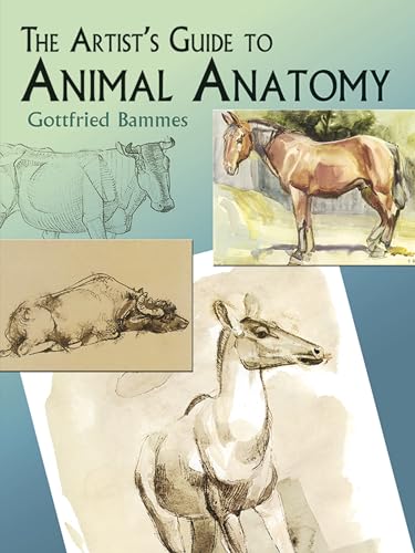Stock image for The Artist's Guide to Animal Anatomy (Dover Anatomy for Artists) for sale by PlumCircle