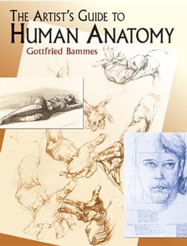Beispielbild fr The Artist's Guide to Human Anatomy (Dover Anatomy for Artists) zum Verkauf von WorldofBooks