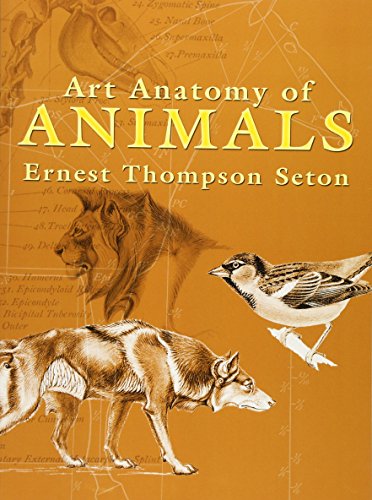 9780486447476: Art Anatomy of Animals (Dover Anatomy for Artists)