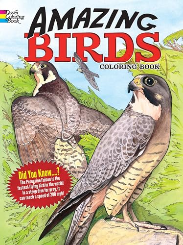 Imagen de archivo de Amazing Birds Coloring Book (Dover Animal Coloring Books) a la venta por HPB-Ruby