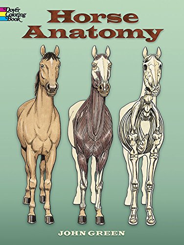 Imagen de archivo de Horse Anatomy Coloring Book a la venta por ThriftBooks-Dallas