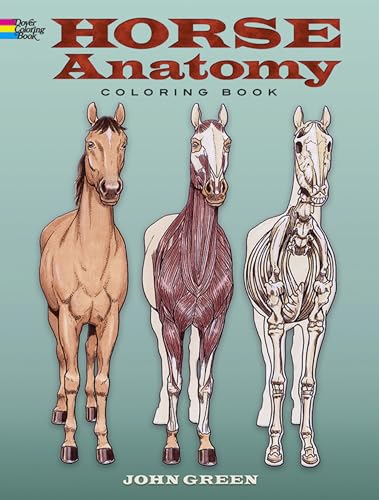 Stock image for Horse Anatomy for sale by Blackwell's