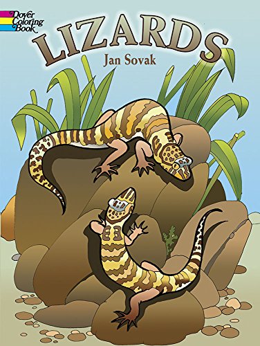 Beispielbild fr Lizards Coloring Book (Dover Animal Coloring Books) zum Verkauf von Reliant Bookstore