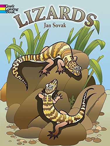 9780486448206: Lizards Coloring Book (Dover Animal Coloring Books)