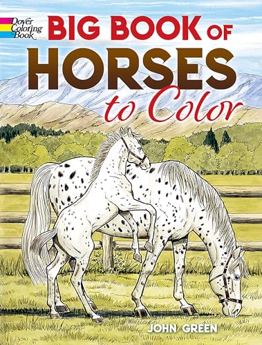 Stock image for Big Book of Horses to Color (Dover Nature Coloring Book) for sale by PlumCircle