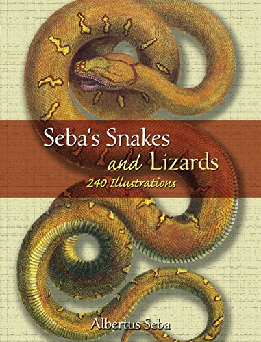 9780486453682: Seba's Snakes and Lizards: 240 Illustrations (Dover Pictorial Archive)