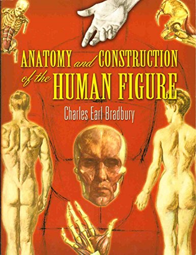9780486455525: Anatomy and Construction of the Human Figure