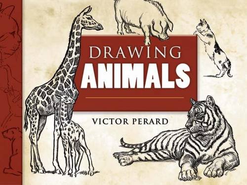 9780486460314: Drawing Animals