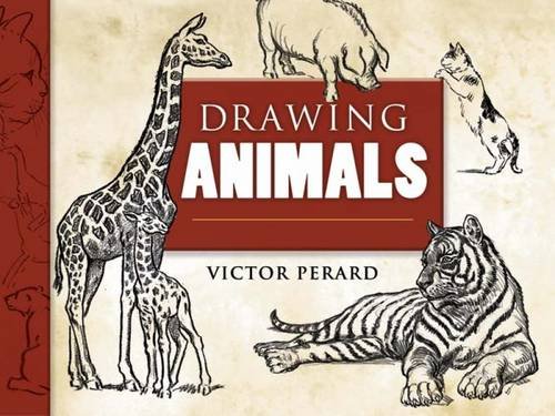 9780486460314: Drawing Animals (Dover Art Instruction)