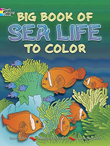 Imagen de archivo de Big Book of Sea Life to Color (Dover Nature Coloring Book) a la venta por SecondSale