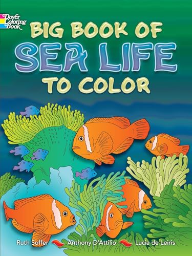 9780486466811: Big Book of Sea Life to Color