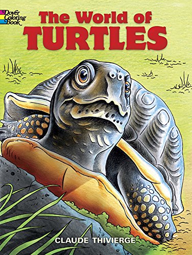 Beispielbild fr The World of Turtles zum Verkauf von Better World Books