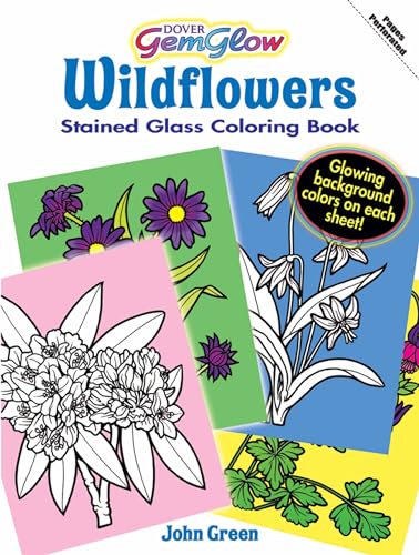 9780486471488: Wildflowers (Dover Nature Stained Glass Coloring Book)