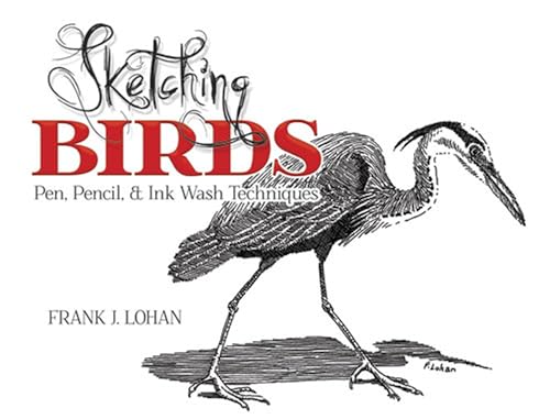 9780486490762: Sketching Birds: Pen, Pencil, & Ink Wash Techniques