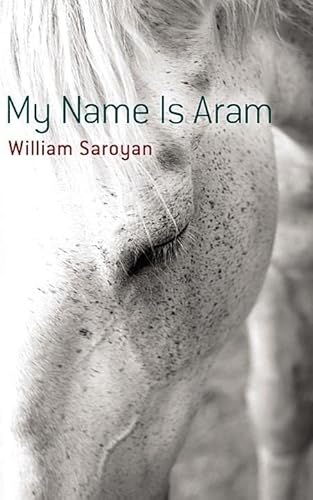 Imagen de archivo de My Name Is Aram a la venta por SecondSale