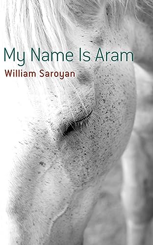 Stock image for My Name Is Aram for sale by SecondSale