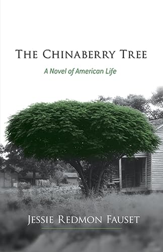 9780486493220: The Chinaberry Tree: A Novel of American Life