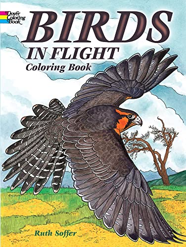 Beispielbild fr Birds in Flight Coloring Book zum Verkauf von Better World Books
