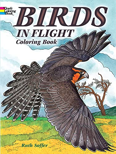 9780486497358: Birds in Flight Coloring Book