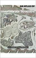 Beispielbild fr An Atlas of Invertebrate Structure, zum Verkauf von ThriftBooks-Atlanta