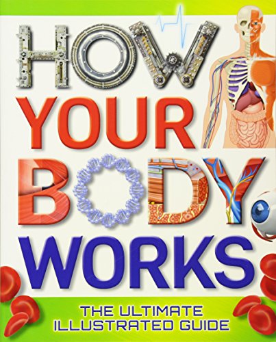 Beispielbild fr How Your Body Works : The Ultimate Illustrated Guide zum Verkauf von Better World Books: West