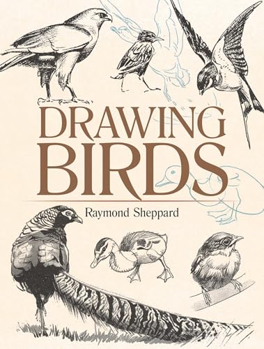 Stock image for Drawing Birds for sale by Blackwell's
