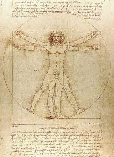 Beispielbild fr Vitruvian Man Notebook Format: PB-Trade Paperback zum Verkauf von INDOO