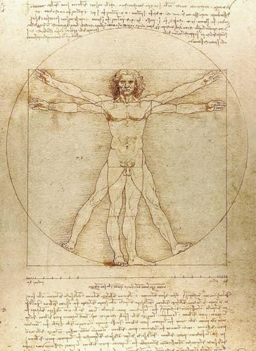 Stock image for Vitruvian Man Notebook for sale by GF Books, Inc.