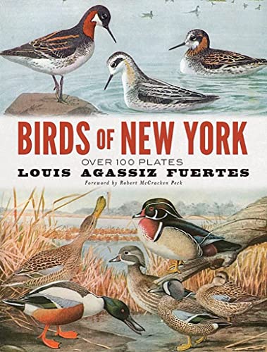 Beispielbild fr Birds of New York: Over 100 Plates zum Verkauf von ThriftBooks-Dallas
