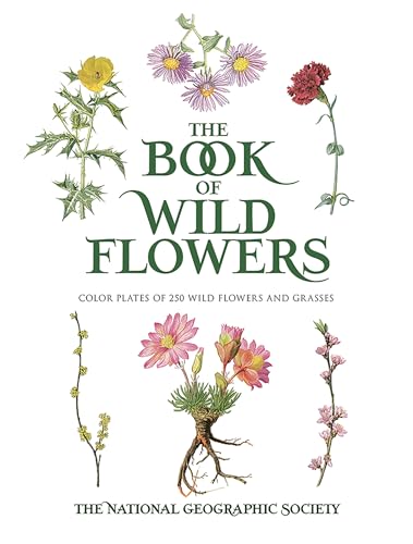 9780486840949: The Book of Wild Flowers: Color Plates of 250 Wild Flowers and Grasses