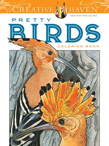 Stock image for Creative Haven Pretty Birds Coloring Book (Creative Haven Coloring Books) for sale by SecondSale