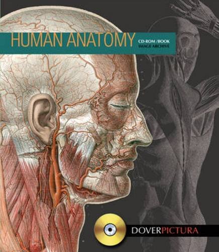 Stock image for Human Anatomy [With CDROM] for sale by ThriftBooks-Atlanta